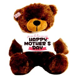 2 feet big brown teddy bear wearing You are the best mom ever Happy Mothers Day T-shirt